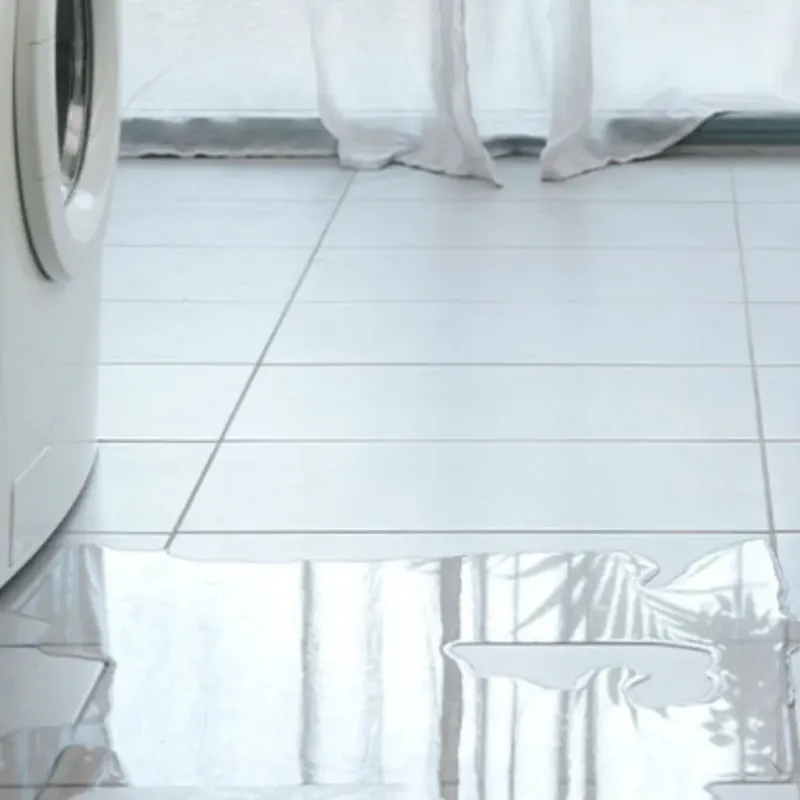 Appliance Leak Cleanup in Leesville, SC