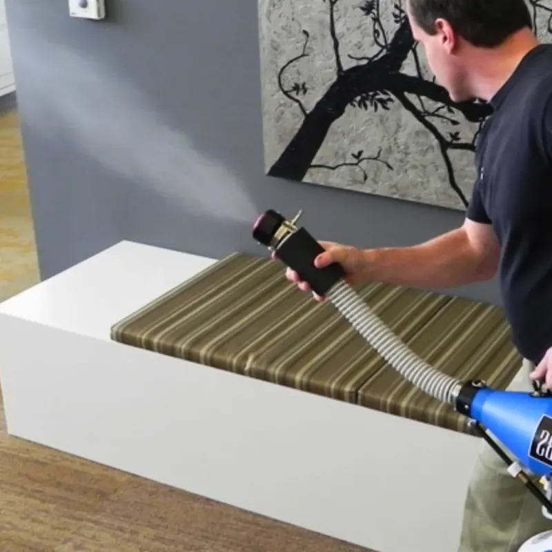 Professional Odor Removal in Leesville, SC