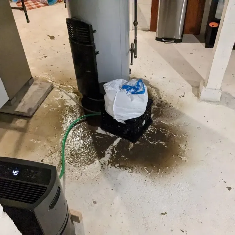 Sewage Backup Cleanup Service in Leesville, SC